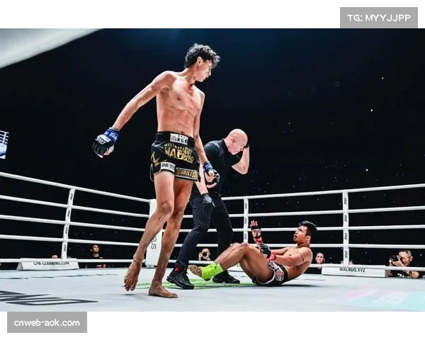 阿纳尼：备战岛大海，重点提升踢拳技能